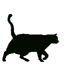 B Cat b_cat Discord Emoji