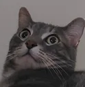ayudame