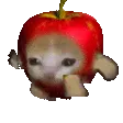 Applecatrun
