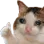 oksadckitten Discord Emoji