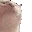 cat_jam