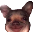 emoji_14 emoji_14