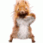 sillysquirrel Discord emoji