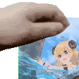 DolphinPat
