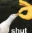 shut