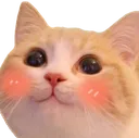 Kitty Blushy Discord Emoji