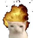 catBOOM