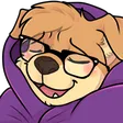 maxfluCozy