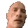 susdwanevineboom