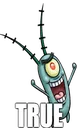 plankTrue