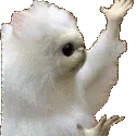 m_wtf
