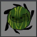 crgwatermelon