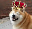 king_doge Discord emoji