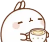 birbmorning
