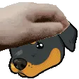 lukaauDingo
