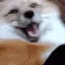 hypermedzernikshake