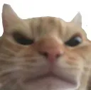 kittyangry