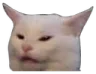 cdCatNoiSaid Discord Emoji
