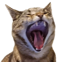 Leo1 Discord emoji