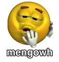 mengowhh