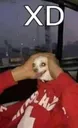 xdd
