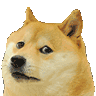 cbDogeOut Discord Emoji