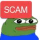 FL_scammer