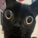AAAAAAAAAAAAAAA