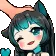sashapet2