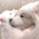 Huggy