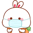 zZz_mask