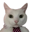 formalCat