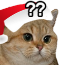 christmas_starecat Discord emoji