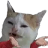 sir