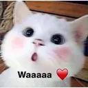 CatWaaa Discord Emoji