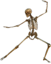 Deadly_Taekwondo Discord emoji