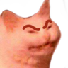 Cat_Angry Discord emoji