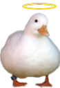 HolyDuck Discord emoji