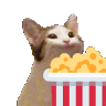 POPcorn POPcorn