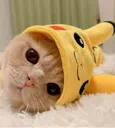PikaCat2