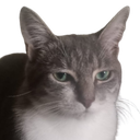 EV Discord emoji