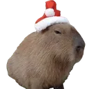 Capychristmas