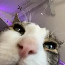 doyouhavegamesonyourphone doyouhavegamesonyourphone