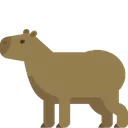 capybara
