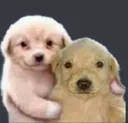 emoji_26