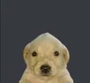 emoji_28