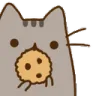 CobracatCuteCookie
