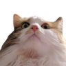 ch_boomer Discord emoji