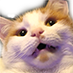 ch_wth Discord emoji