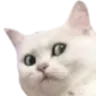 ch_suspicious